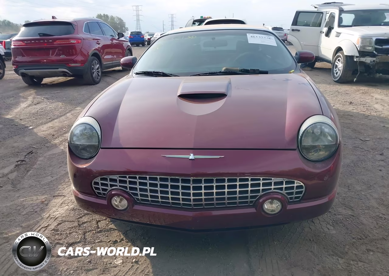 2004 Ford Thunderbird VIN:1FAHP60A44Y110878 - 12
