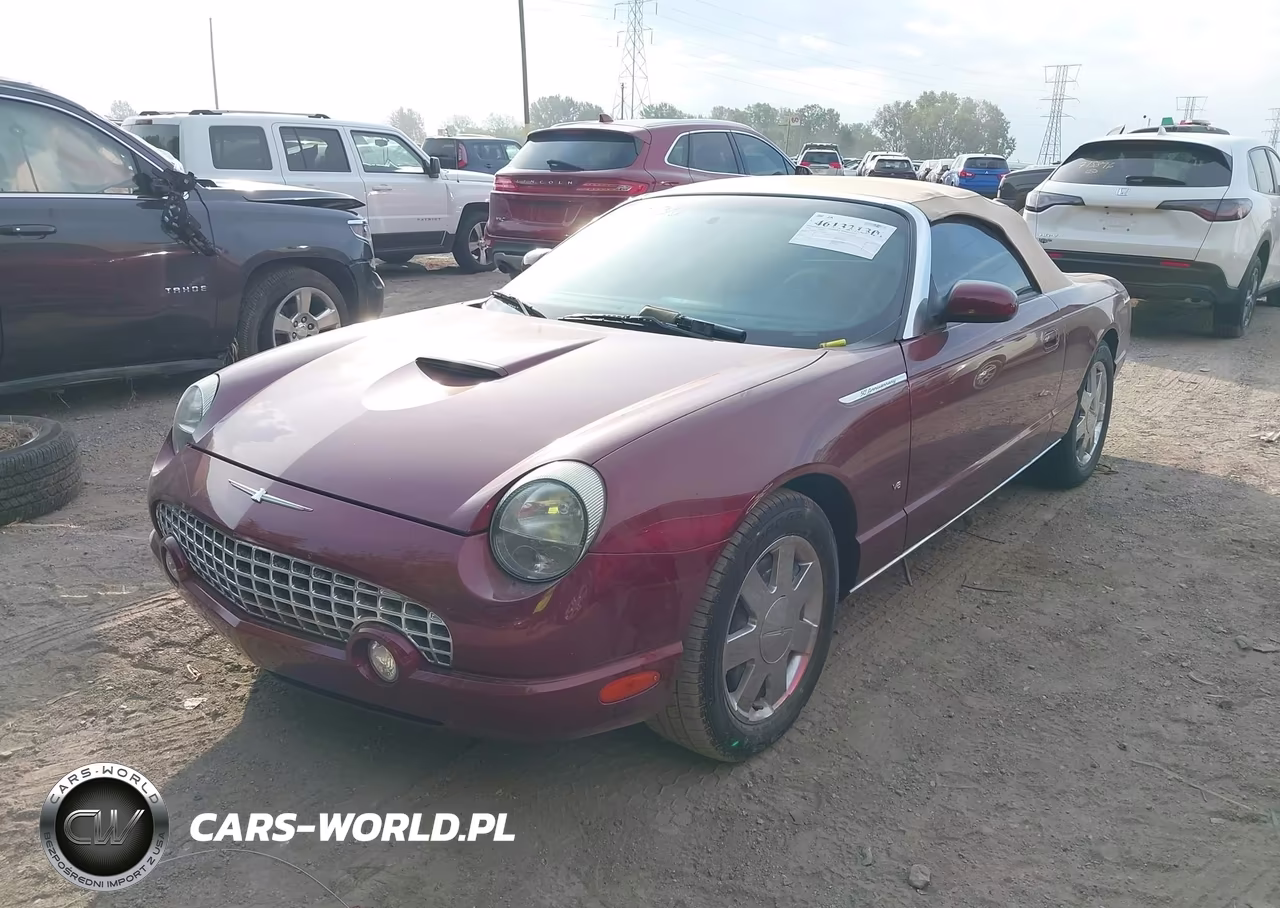 2004 Ford Thunderbird VIN:1FAHP60A44Y110878 - 2