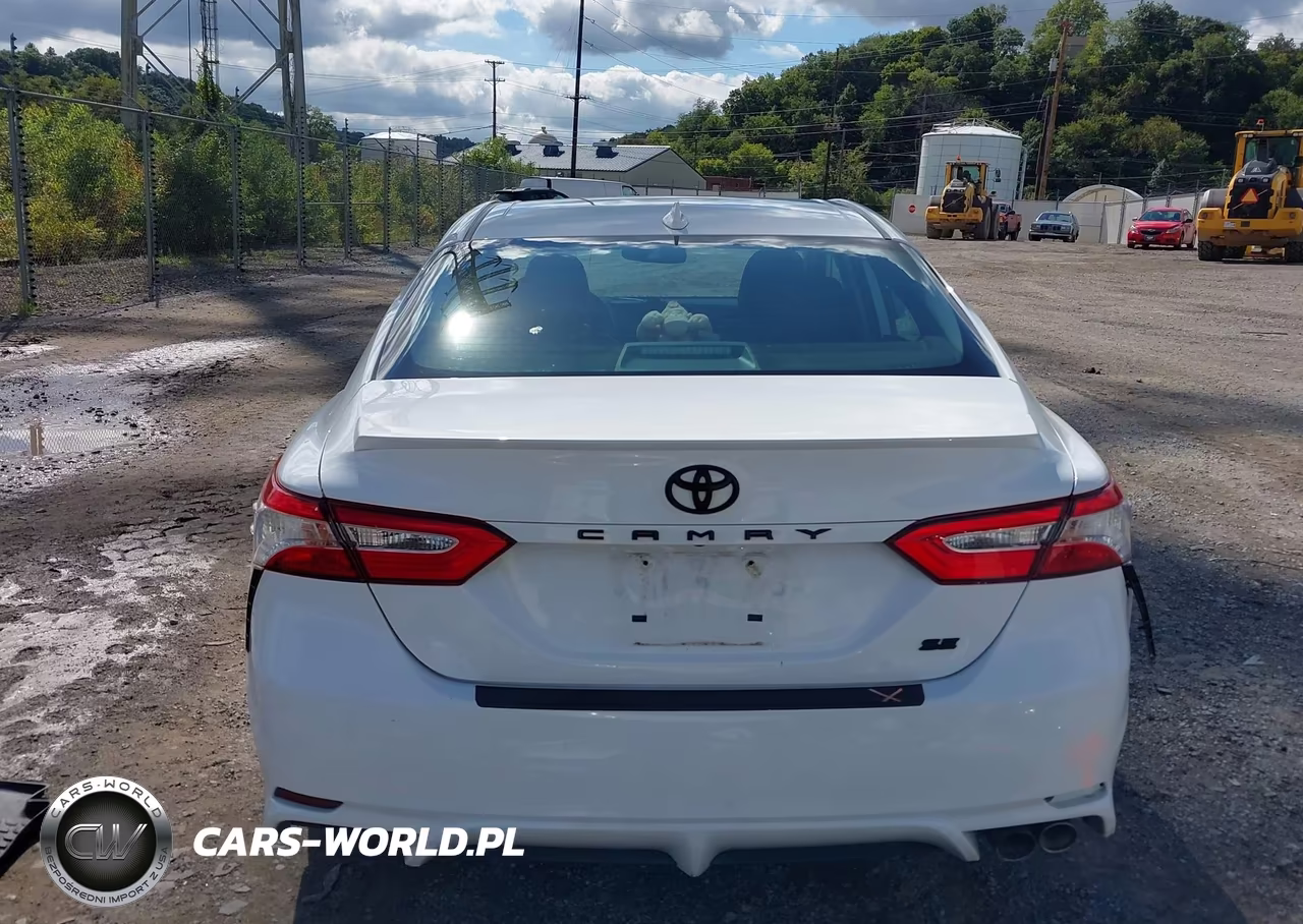 2020 Toyota Camry Se VIN:4T1M11AK6LU951171 - 17