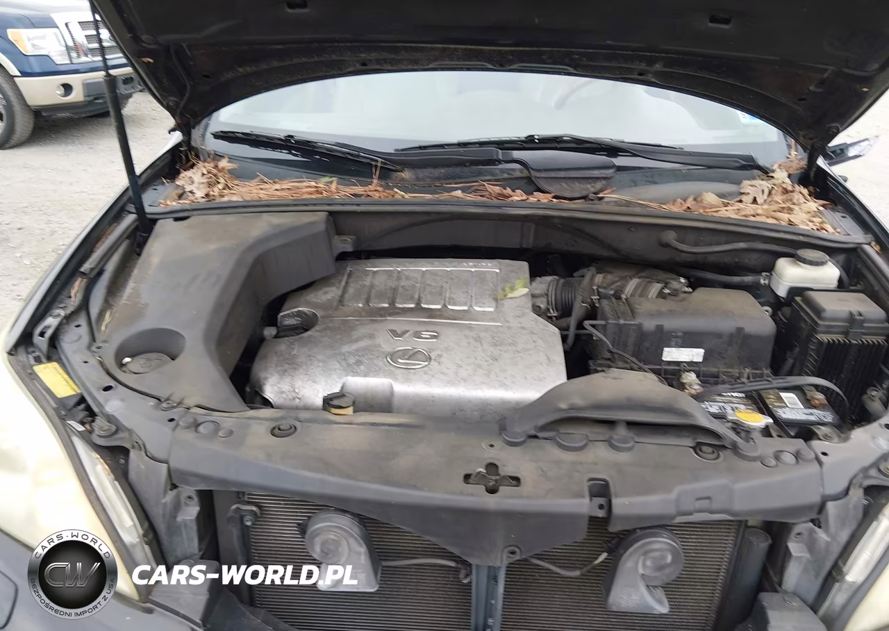 2009 Lexus Rx 350 VIN:2T2HK31U79C133174 - 10