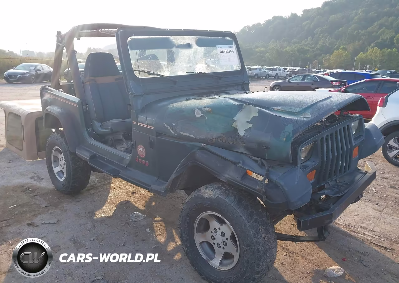 1994 Jeep Wrangler - Yj Sahara VIN:1J4FY49S5RP445623 - 1