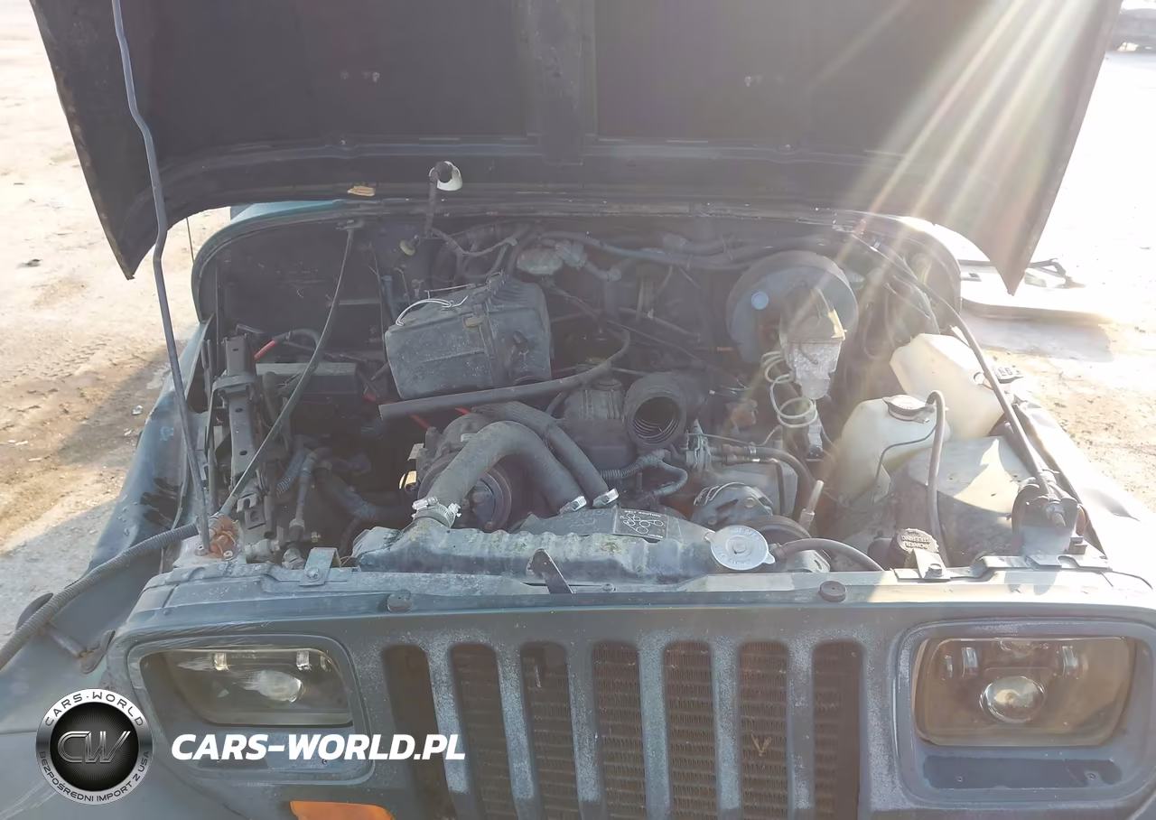 1994 Jeep Wrangler - Yj Sahara VIN:1J4FY49S5RP445623 - 10