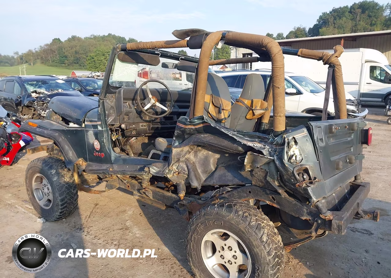 1994 Jeep Wrangler - Yj Sahara VIN:1J4FY49S5RP445623 - 3