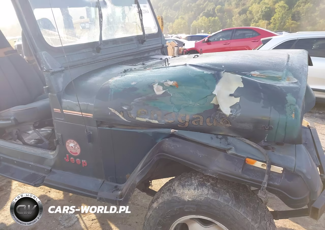 1994 Jeep Wrangler - Yj Sahara VIN:1J4FY49S5RP445623 - 6