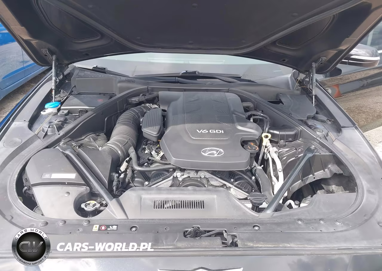 2016 Hyundai Genesis 3.8 VIN:KMHGN4JE1GU136959 - 10