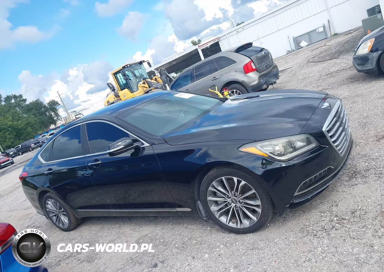 2016 Hyundai Genesis 3.8 VIN:KMHGN4JE1GU136959 - 13