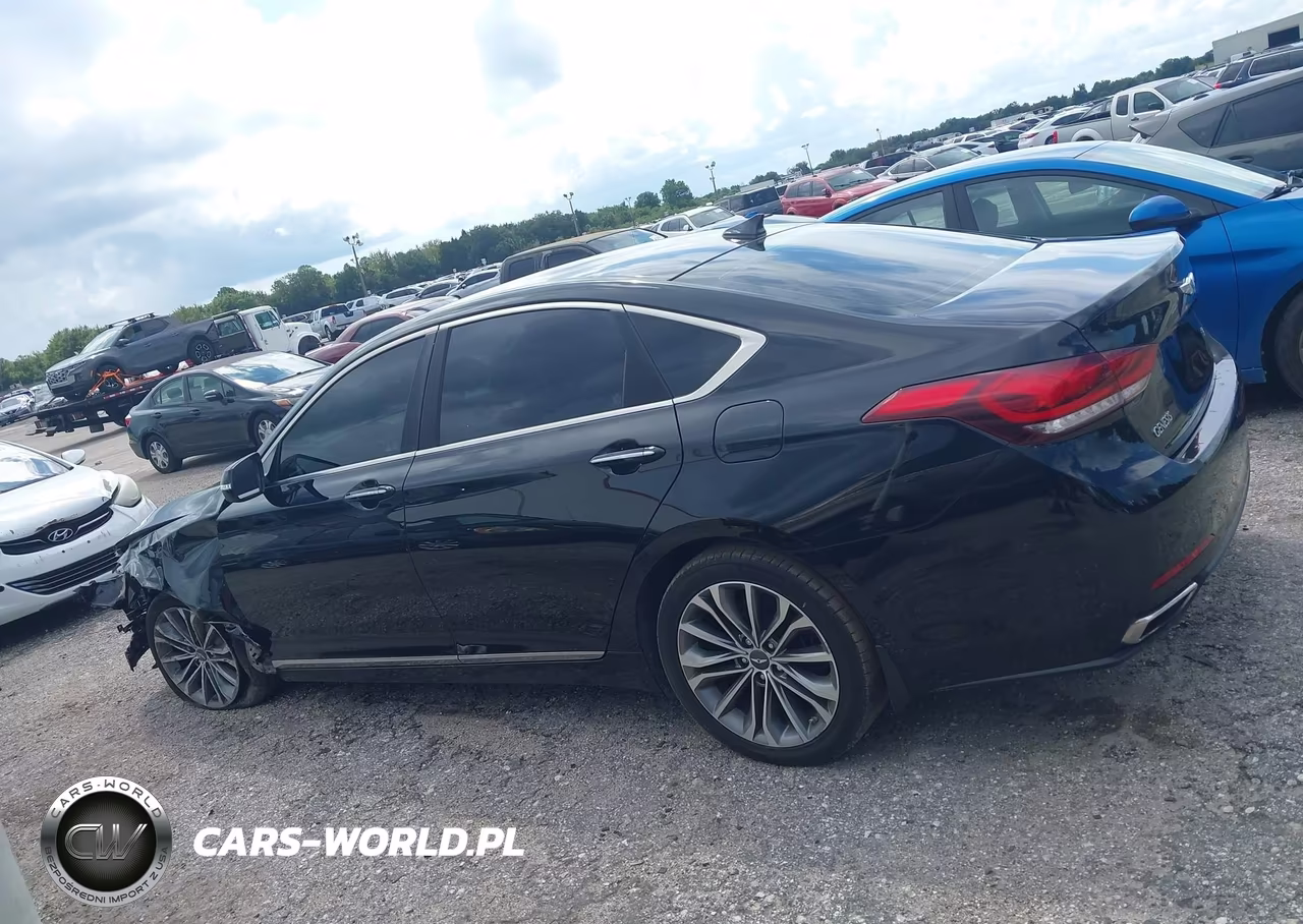 2016 Hyundai Genesis 3.8 VIN:KMHGN4JE1GU136959 - 14