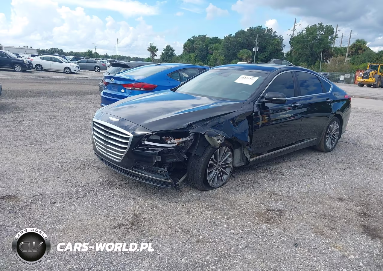 2016 Hyundai Genesis 3.8 VIN:KMHGN4JE1GU136959 - 2