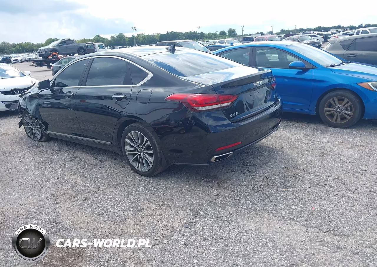 2016 Hyundai Genesis 3.8 VIN:KMHGN4JE1GU136959 - 3