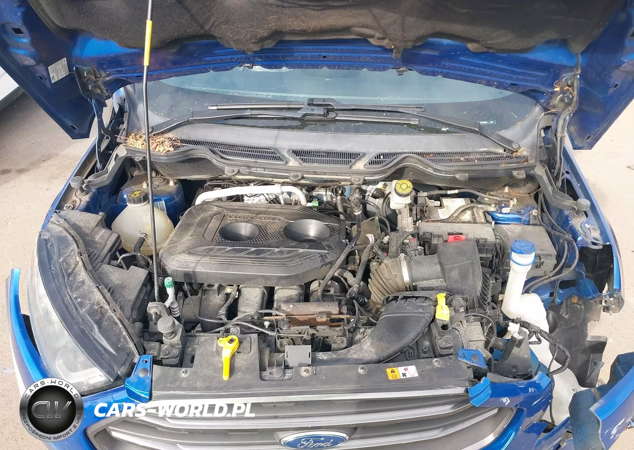 2018 Ford Ecosport Ses VIN:MAJ6P1CL0JC239992 - 10