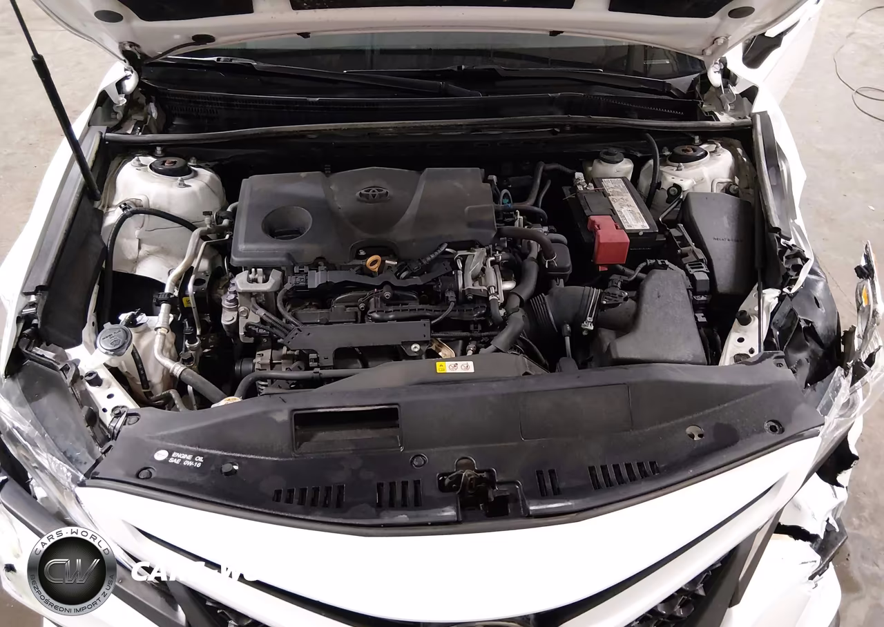 2020 Toyota Camry Se VIN:4T1M11AK3LU927779 - 10