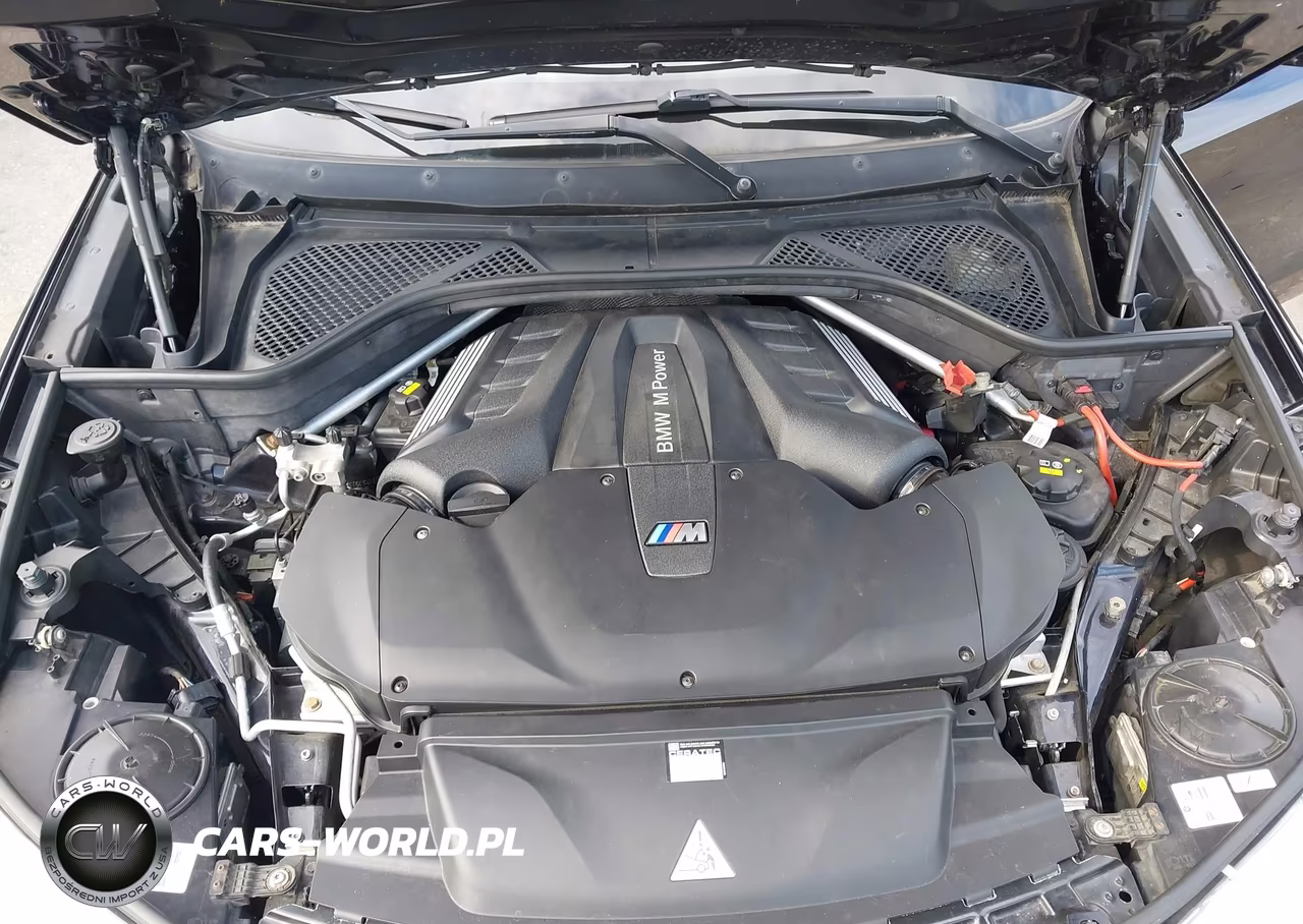 BMW X5 M VIN:5YMKT6C54G0R77623 - 10