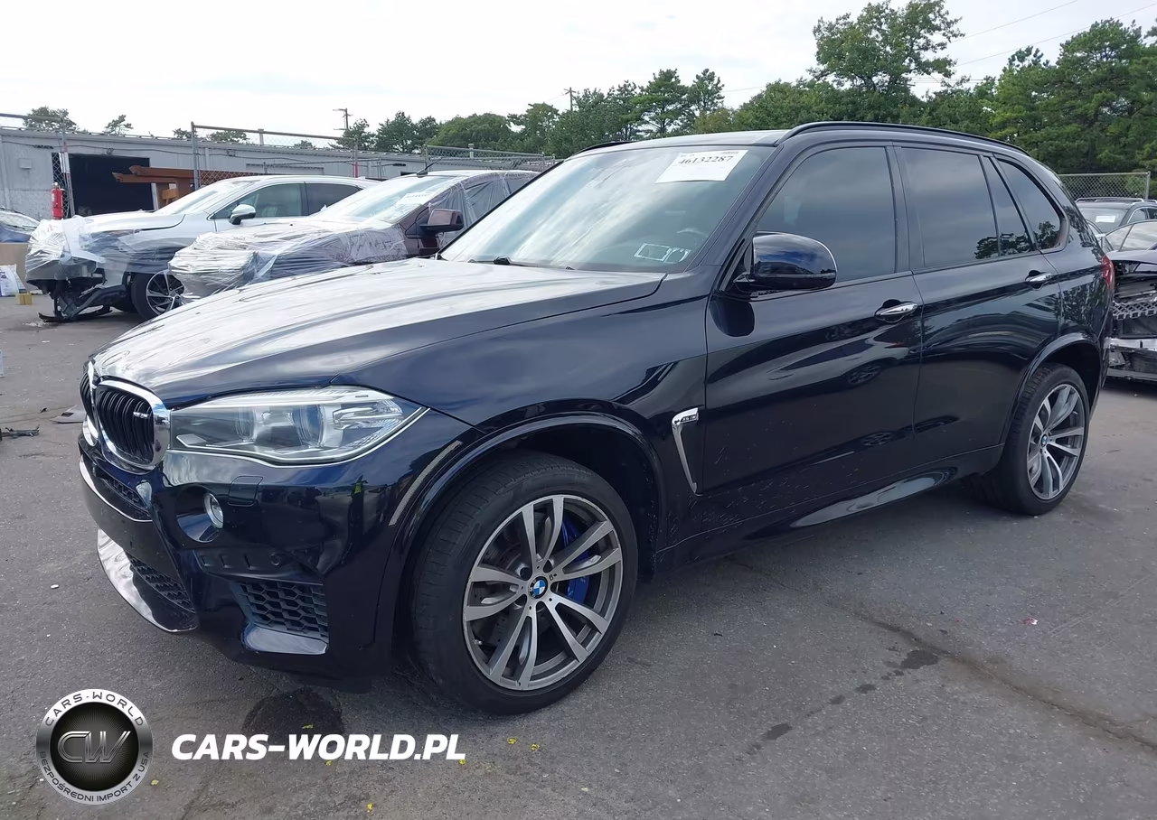 BMW X5 M VIN:5YMKT6C54G0R77623 - 2