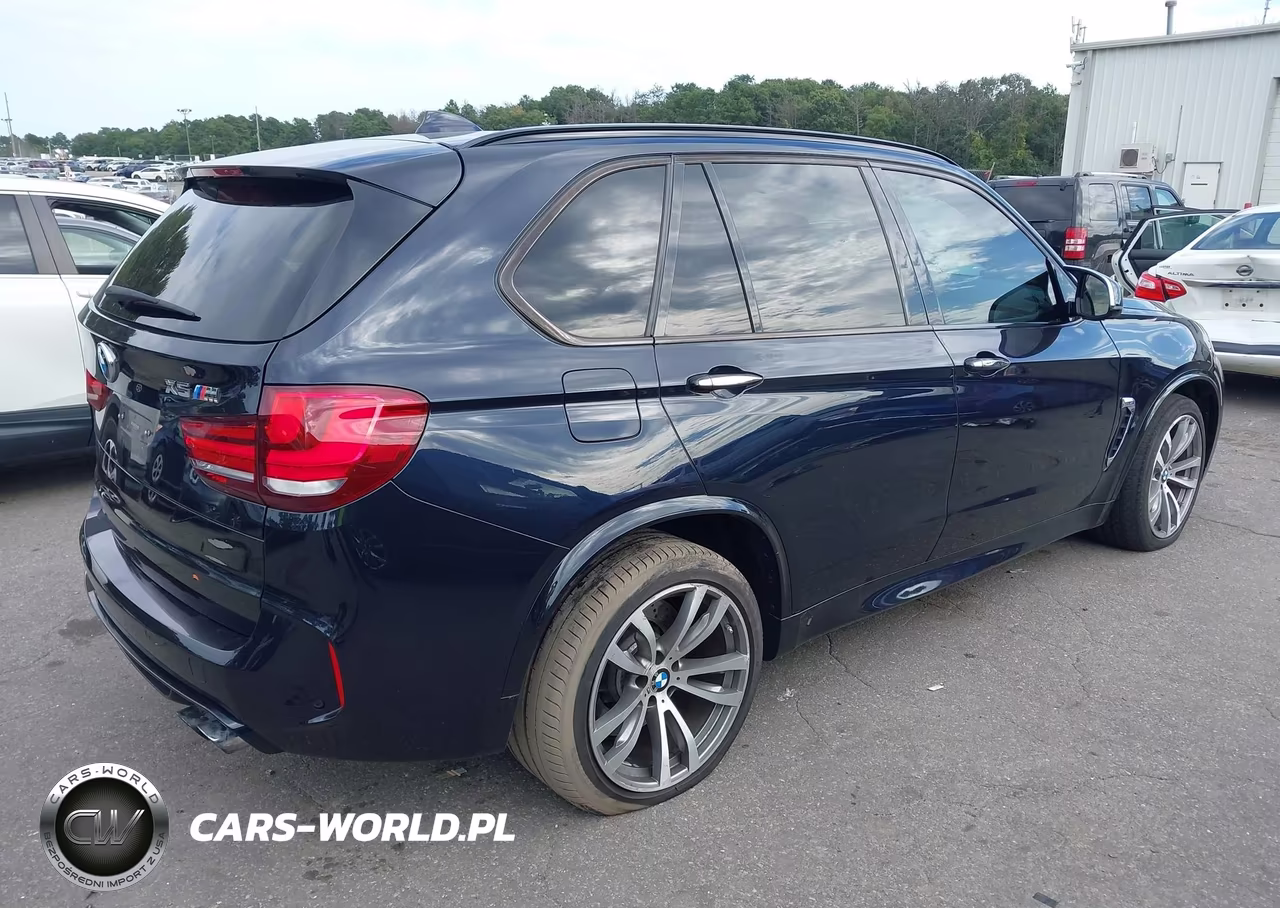 BMW X5 M VIN:5YMKT6C54G0R77623 - 4