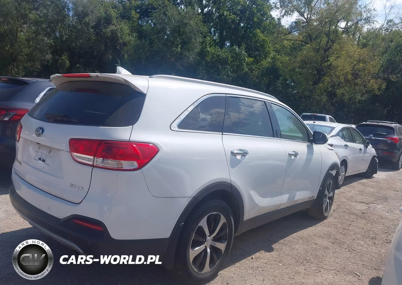 2016 Kia Sorento 3.3L Ex VIN:5XYPHDA54GG015663 - 13