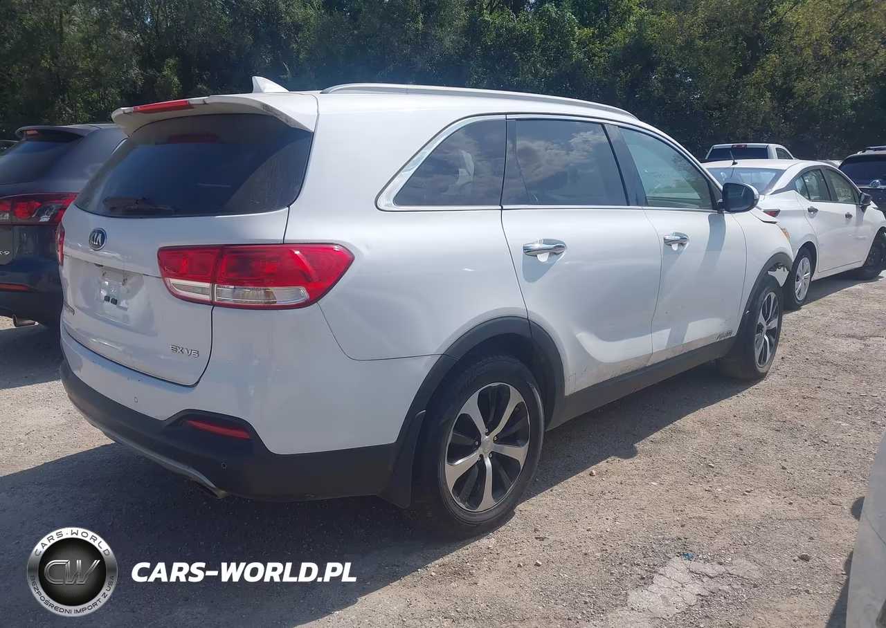 2016 Kia Sorento 3.3L Ex VIN:5XYPHDA54GG015663 - 4
