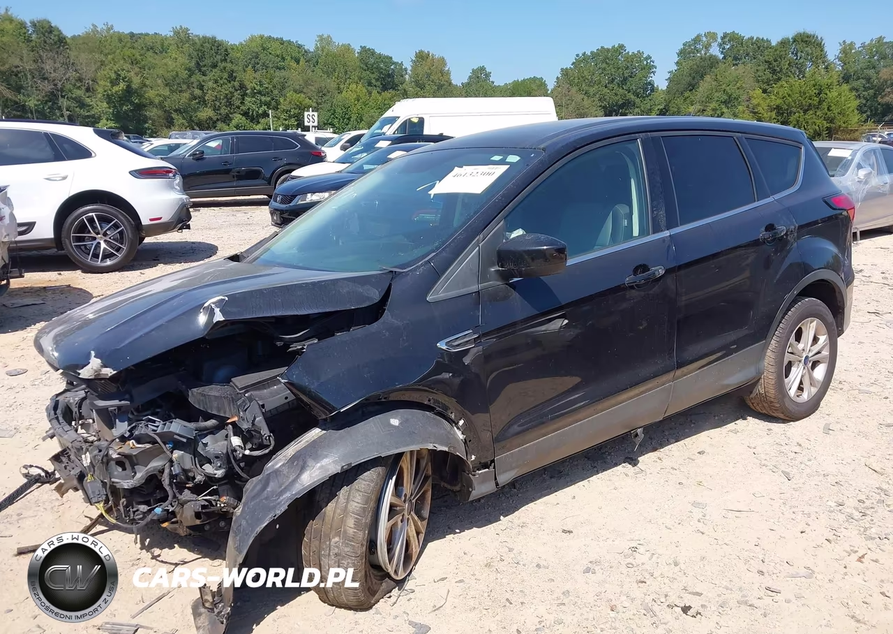 2019 Ford Escape Se VIN:1FMCU0GDXKUA07961 - 2