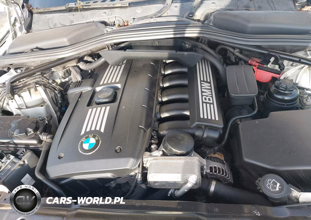 2009 BMW 528I VIN:WBANU53559C118438 - 10