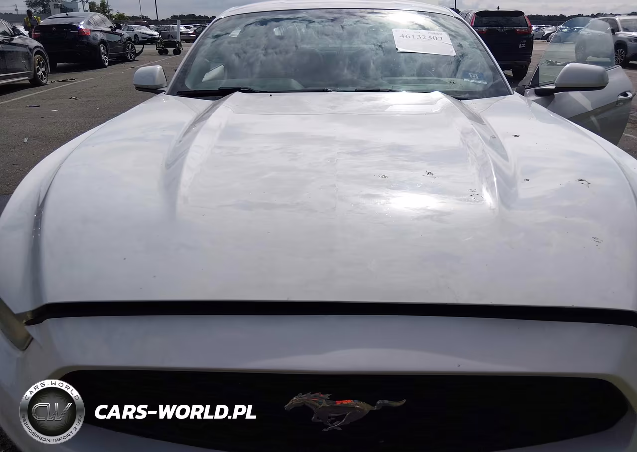 2015 Ford Mustang V6 VIN:1FA6P8AM9F5394959 - 10