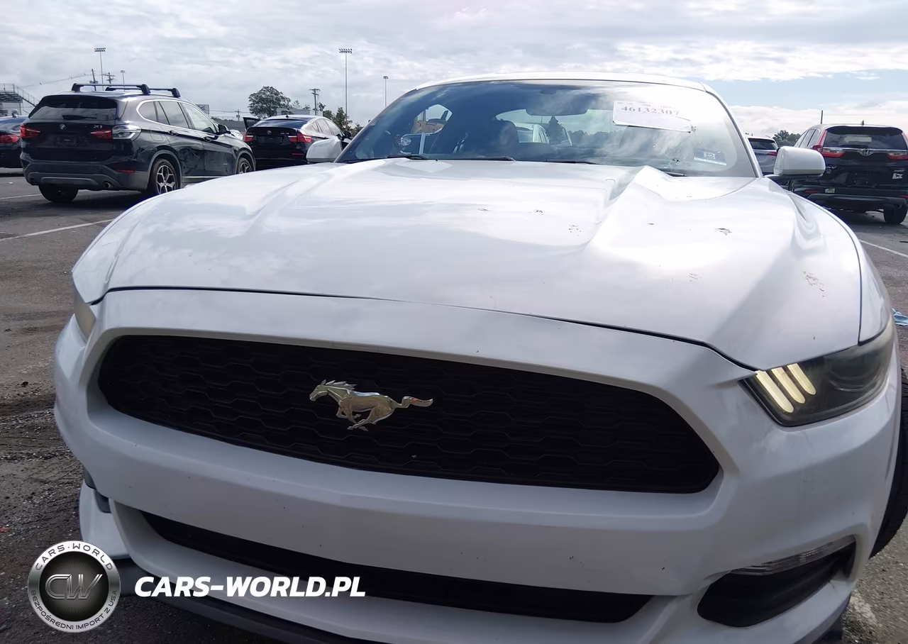 2015 Ford Mustang V6 VIN:1FA6P8AM9F5394959 - 12