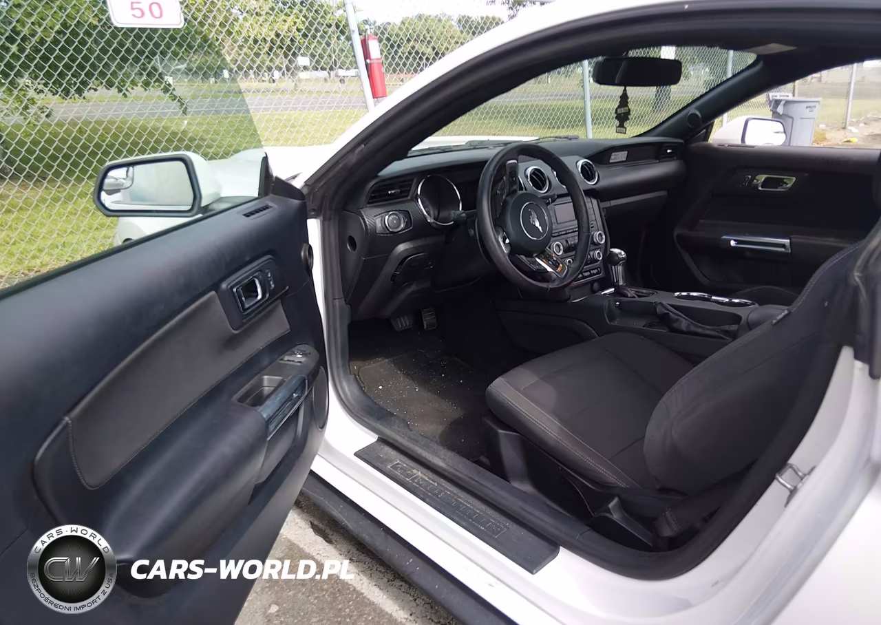 2015 Ford Mustang V6 VIN:1FA6P8AM9F5394959 - 14