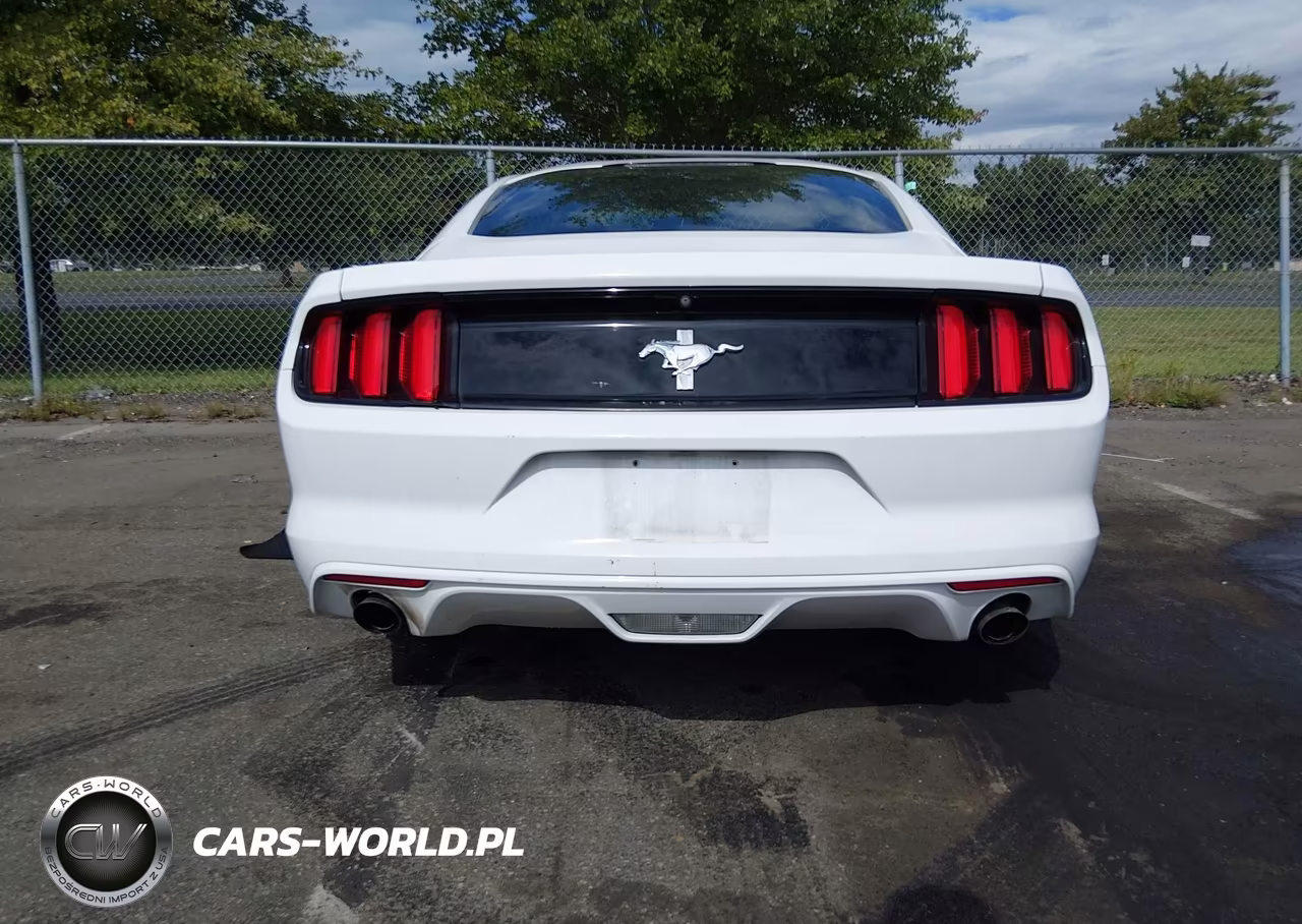 2015 Ford Mustang V6 VIN:1FA6P8AM9F5394959 - 16