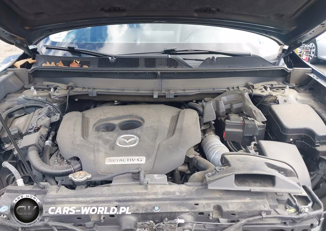 2020 Mazda Cx-9 Touring VIN:JM3TCBCY3L0424415 - 10