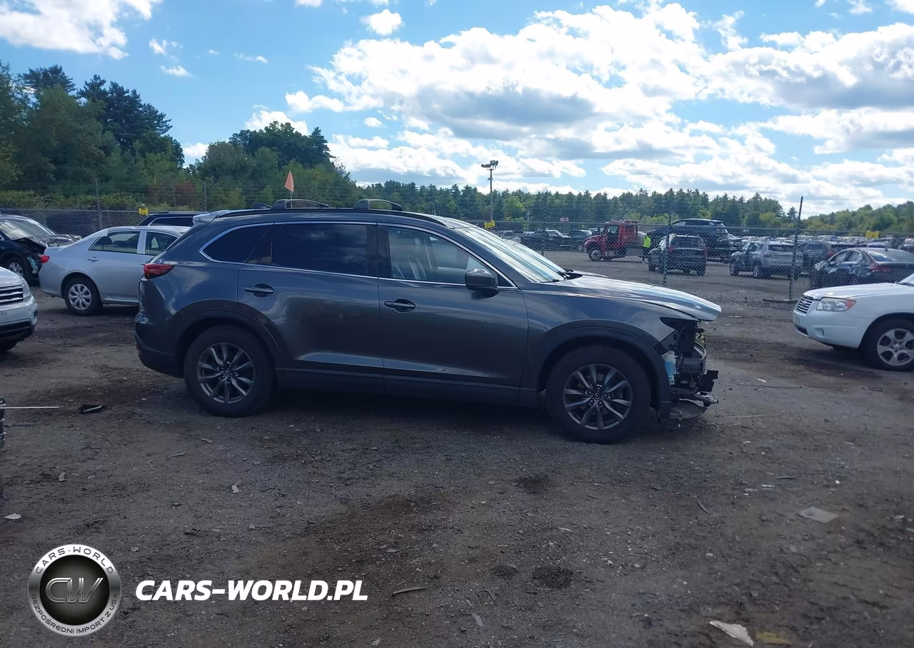 2020 Mazda Cx-9 Touring VIN:JM3TCBCY3L0424415 - 14
