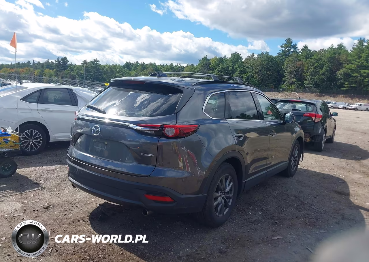 2020 Mazda Cx-9 Touring VIN:JM3TCBCY3L0424415 - 4