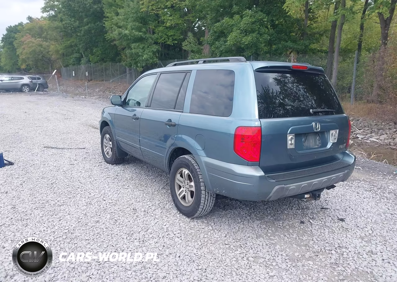 2005 Honda Pilot Ex-L VIN:2HKYF18755H528362 - 3