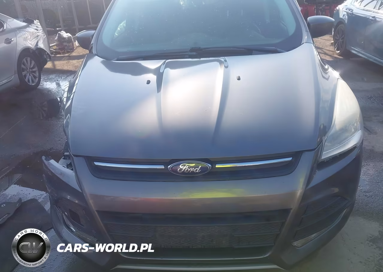 2013 Ford Escape Se VIN:1FMCU9GX2DUC52979 - 12