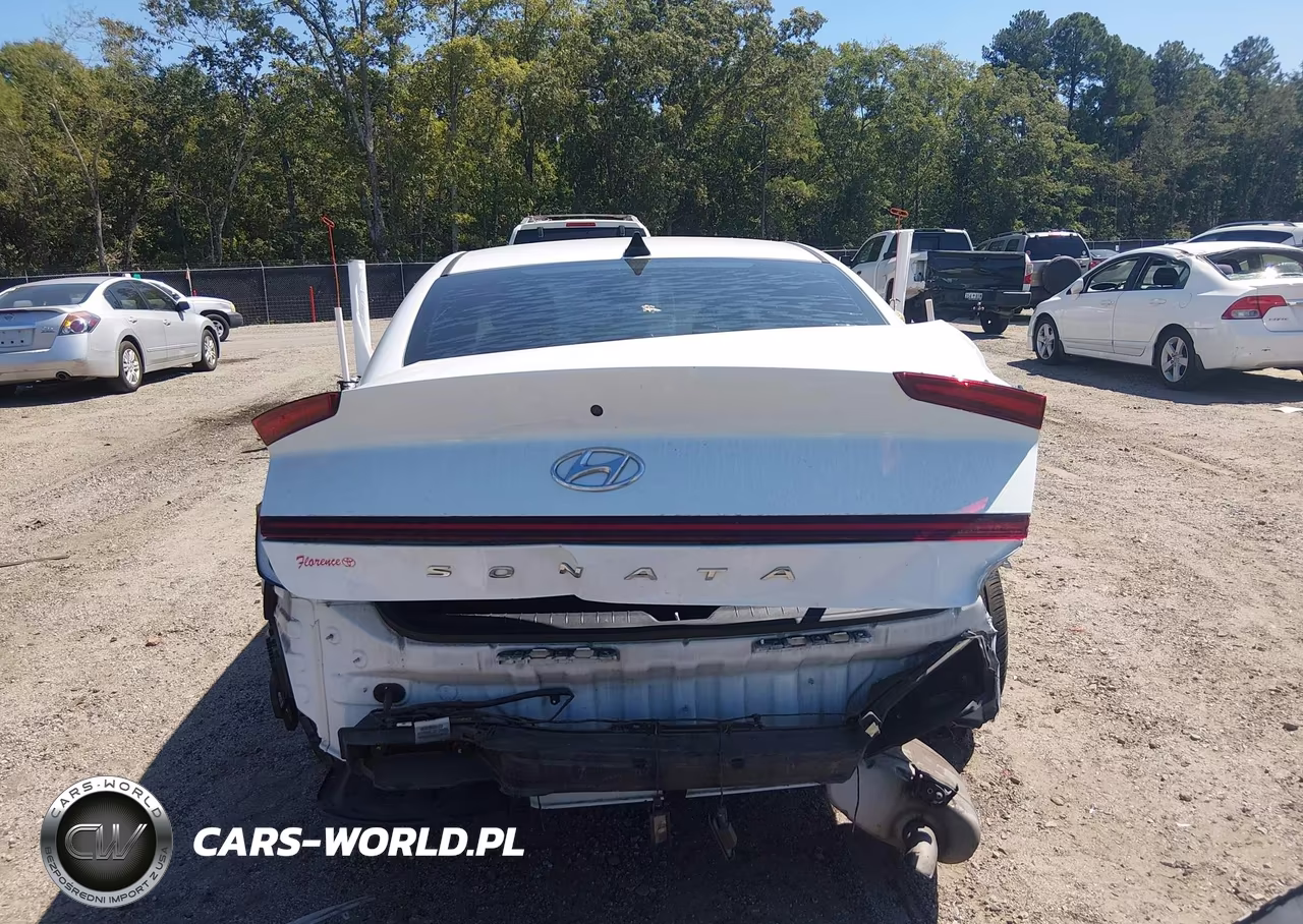 2020 Hyundai Sonata Se VIN:5NPEG4JA3LH056571 - 17