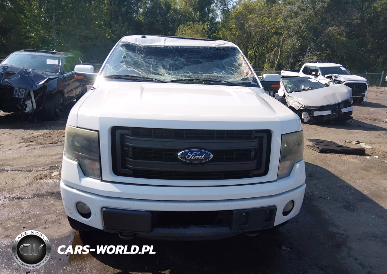 2013 Ford F-150 Fx4 VIN:1FTFW1ET2DKE98861 - 12