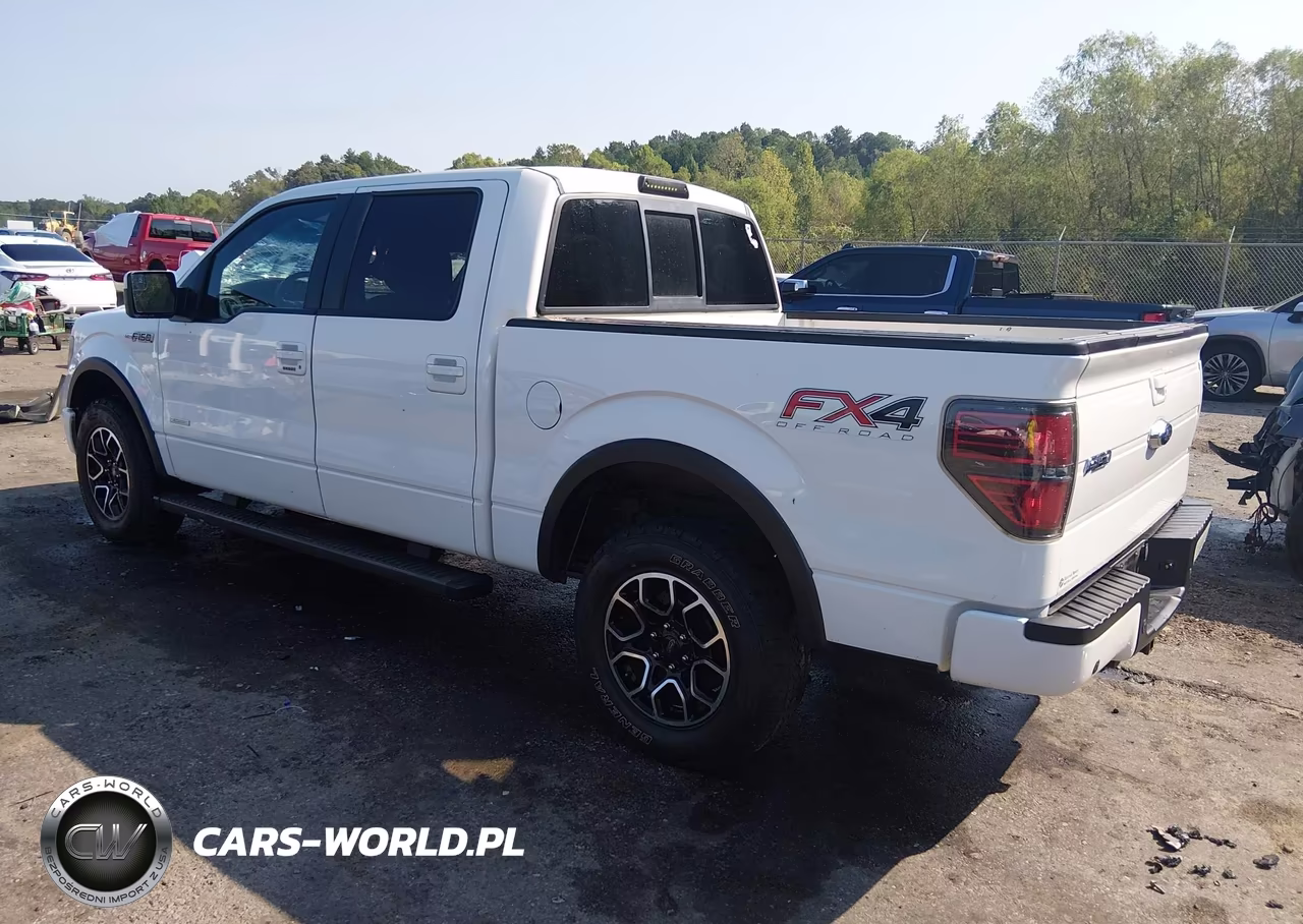 2013 Ford F-150 Fx4 VIN:1FTFW1ET2DKE98861 - 3