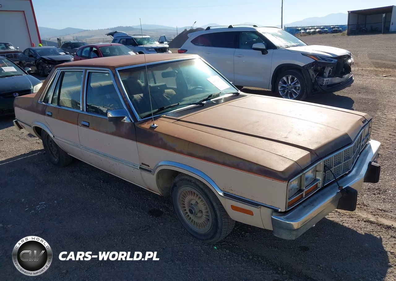 1983 Ford Fairmont Futura VIN:1FABP36X2DK152484 - 1