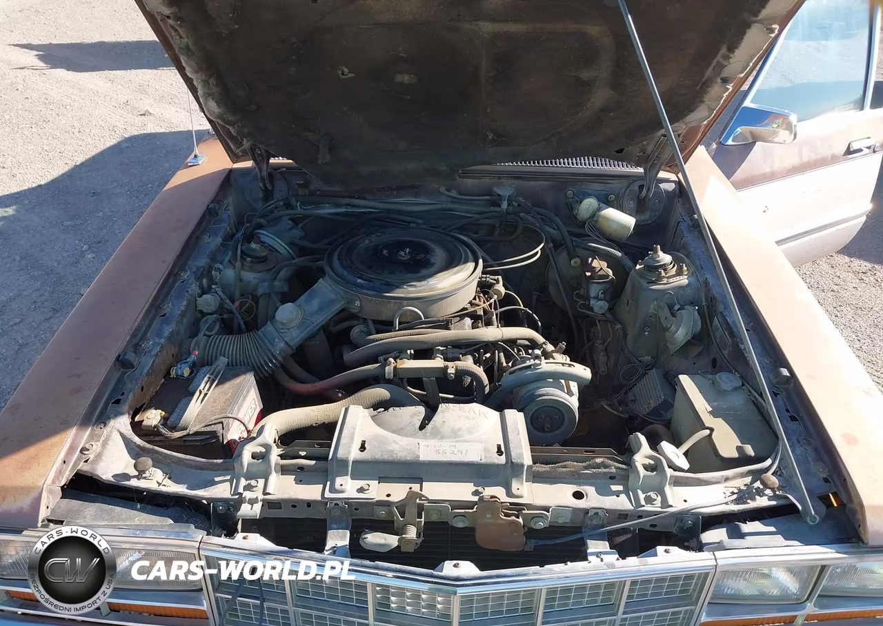 1983 Ford Fairmont Futura VIN:1FABP36X2DK152484 - 10