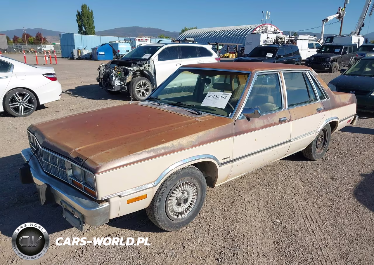 1983 Ford Fairmont Futura VIN:1FABP36X2DK152484 - 2