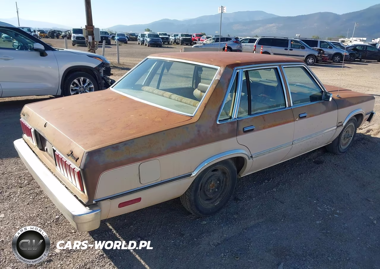 1983 Ford Fairmont Futura VIN:1FABP36X2DK152484 - 4