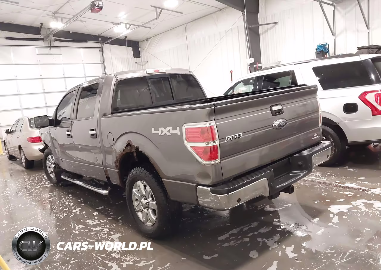 2013 Ford F-150 Xlt VIN:1FTFW1EF9DKF65711 - 15