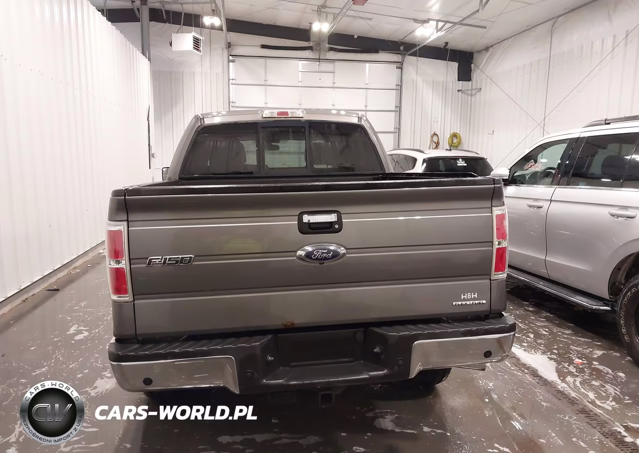 2013 Ford F-150 Xlt VIN:1FTFW1EF9DKF65711 - 17