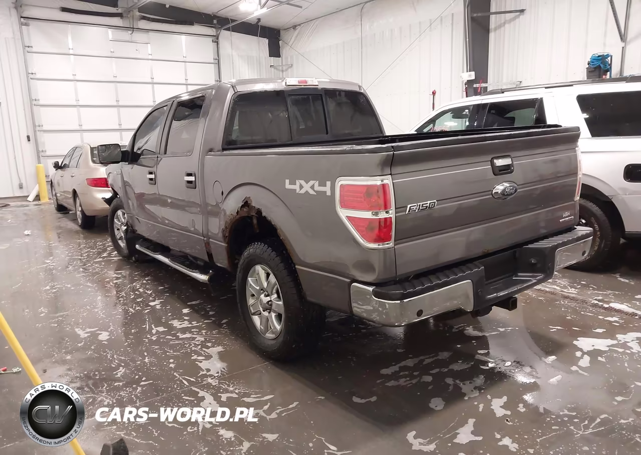 2013 Ford F-150 Xlt VIN:1FTFW1EF9DKF65711 - 3