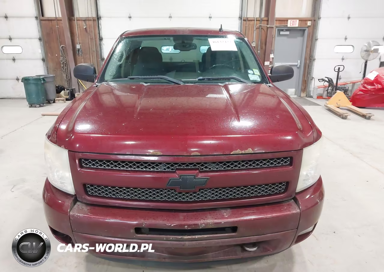 2009 Chevrolet Silverado 1500 Lt VIN:1GCEK29J29Z230333 - 12
