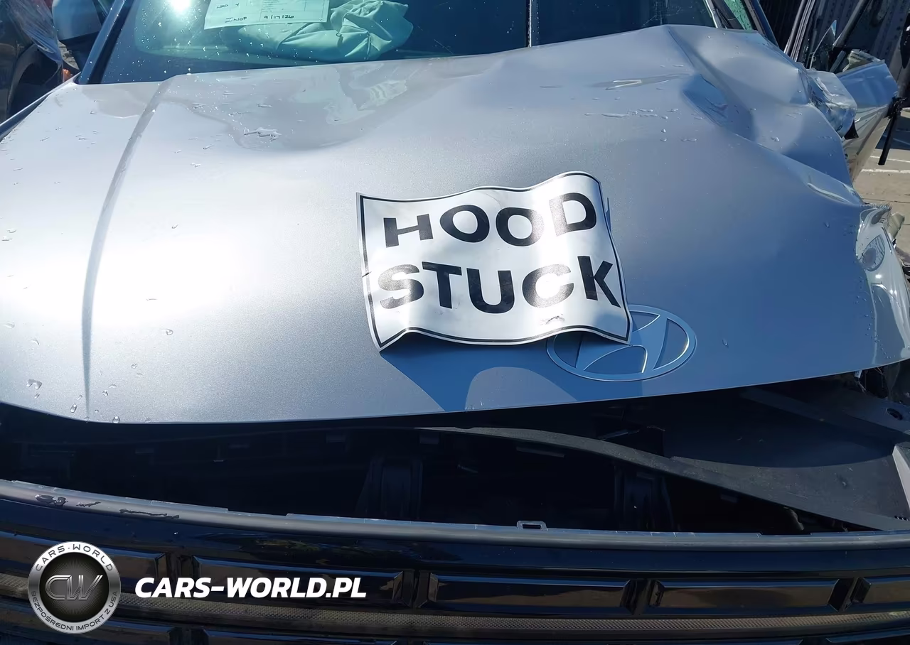 2024 Hyundai Santa Fe Hybrid Limited VIN:5NMP3DG17RH015992 - 10