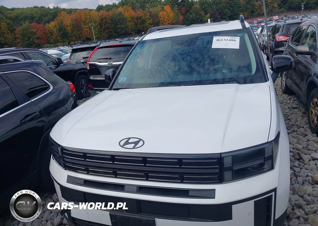 2025 Hyundai Santa Fe Xrt VIN:5NMP3DGL5SH077303 - 11