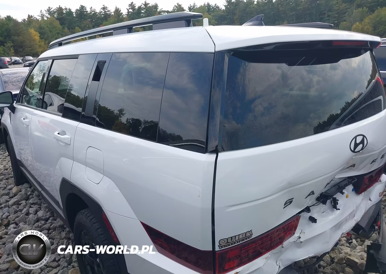 2025 Hyundai Santa Fe Xrt VIN:5NMP3DGL5SH077303 - 13
