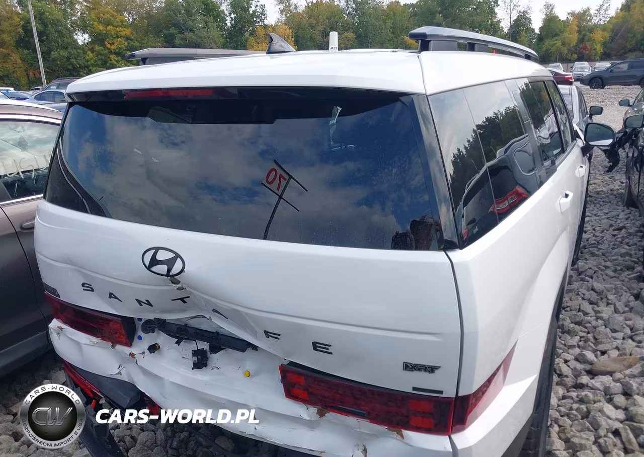2025 Hyundai Santa Fe Xrt VIN:5NMP3DGL5SH077303 - 15