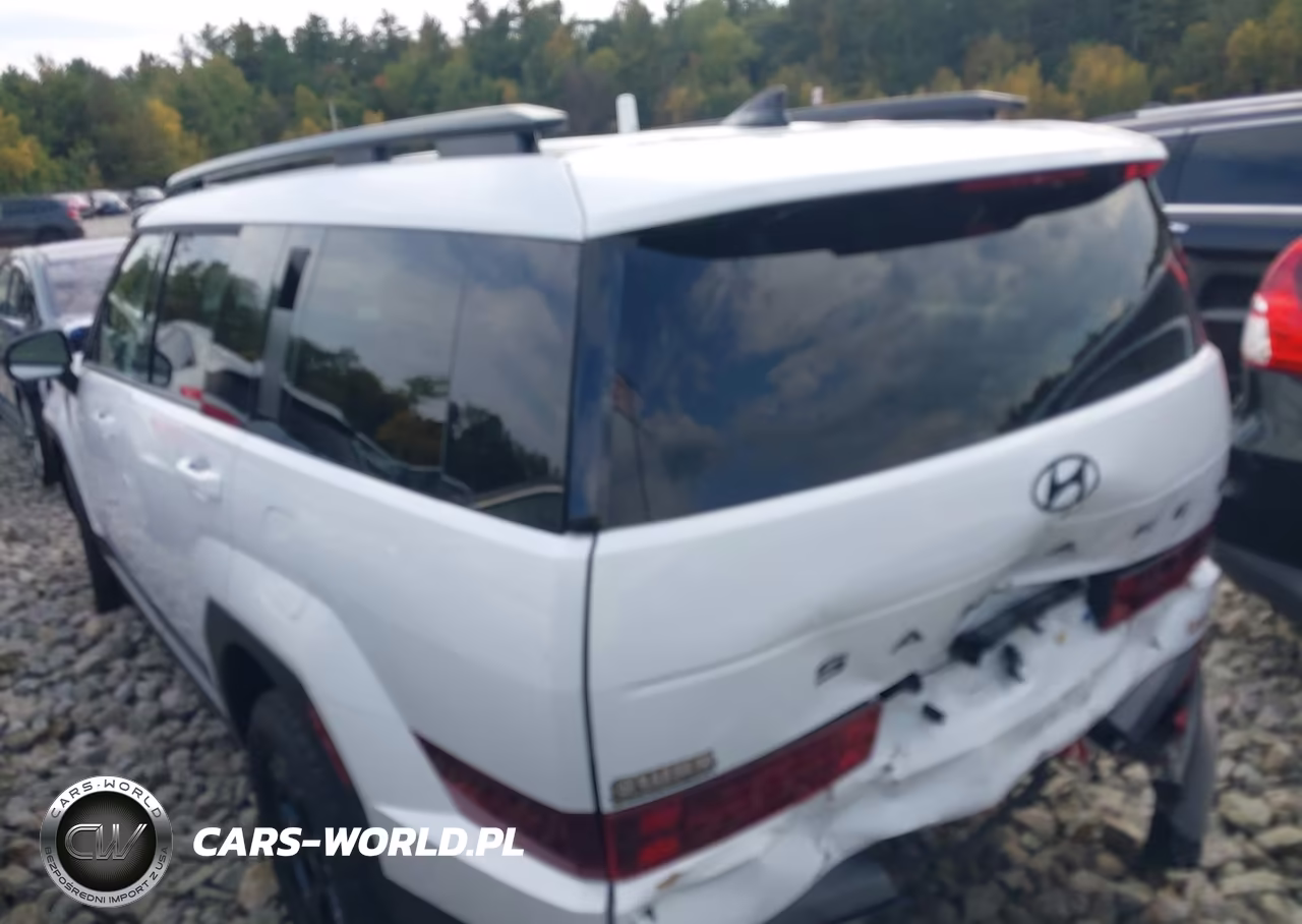 2025 Hyundai Santa Fe Xrt VIN:5NMP3DGL5SH077303 - 3