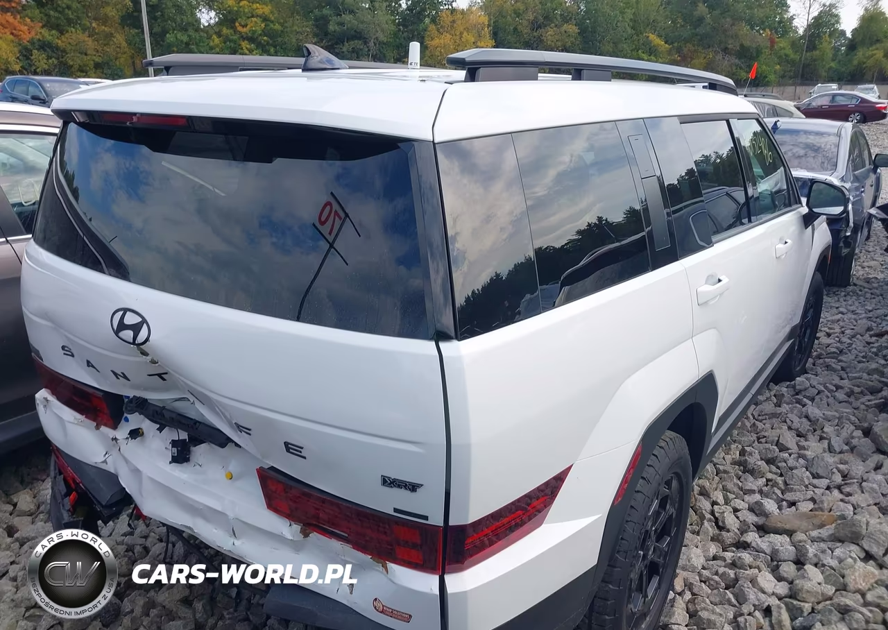 2025 Hyundai Santa Fe Xrt VIN:5NMP3DGL5SH077303 - 4