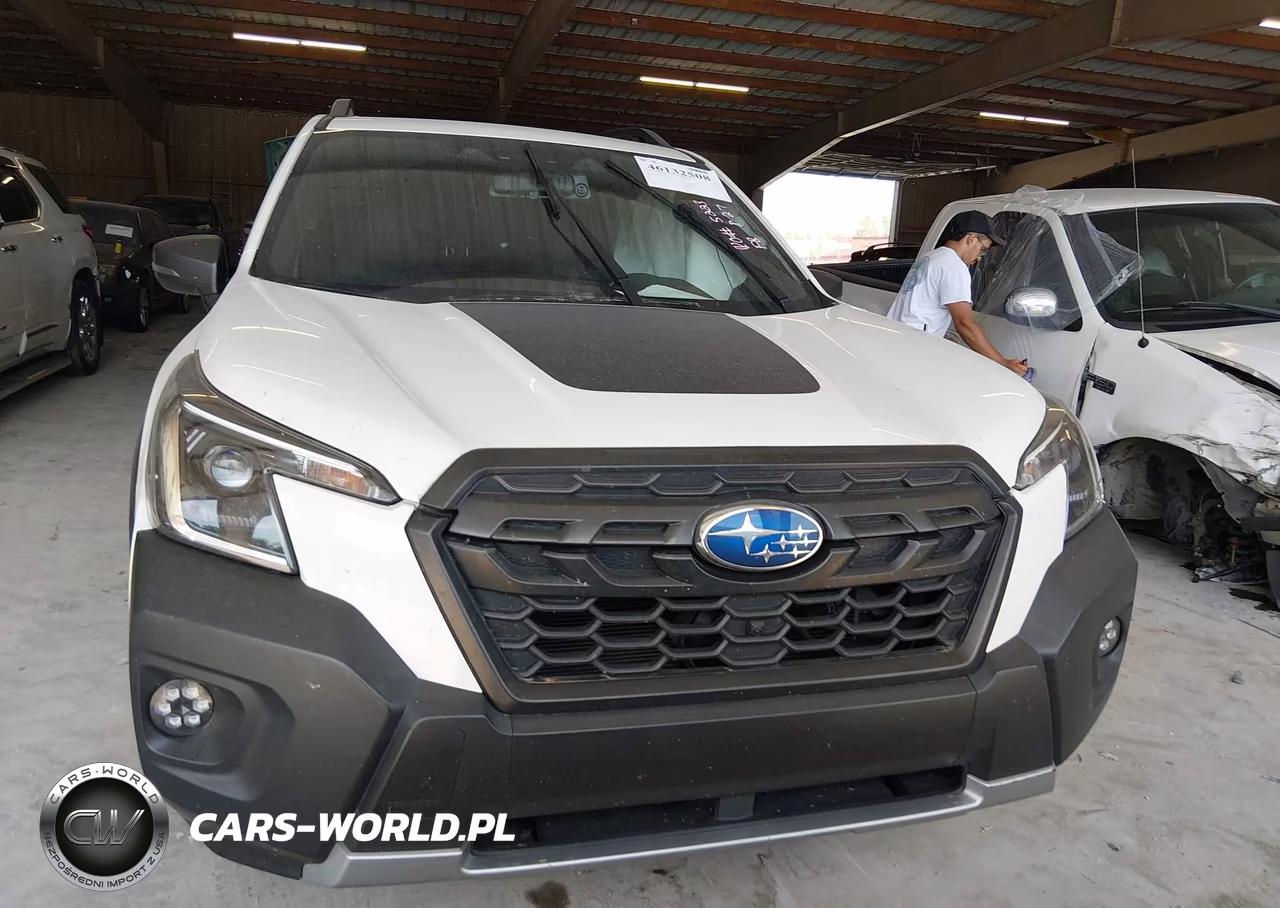 2022 Subaru Forester Wilderness VIN:JF2SKAMC1NH486020 - 12