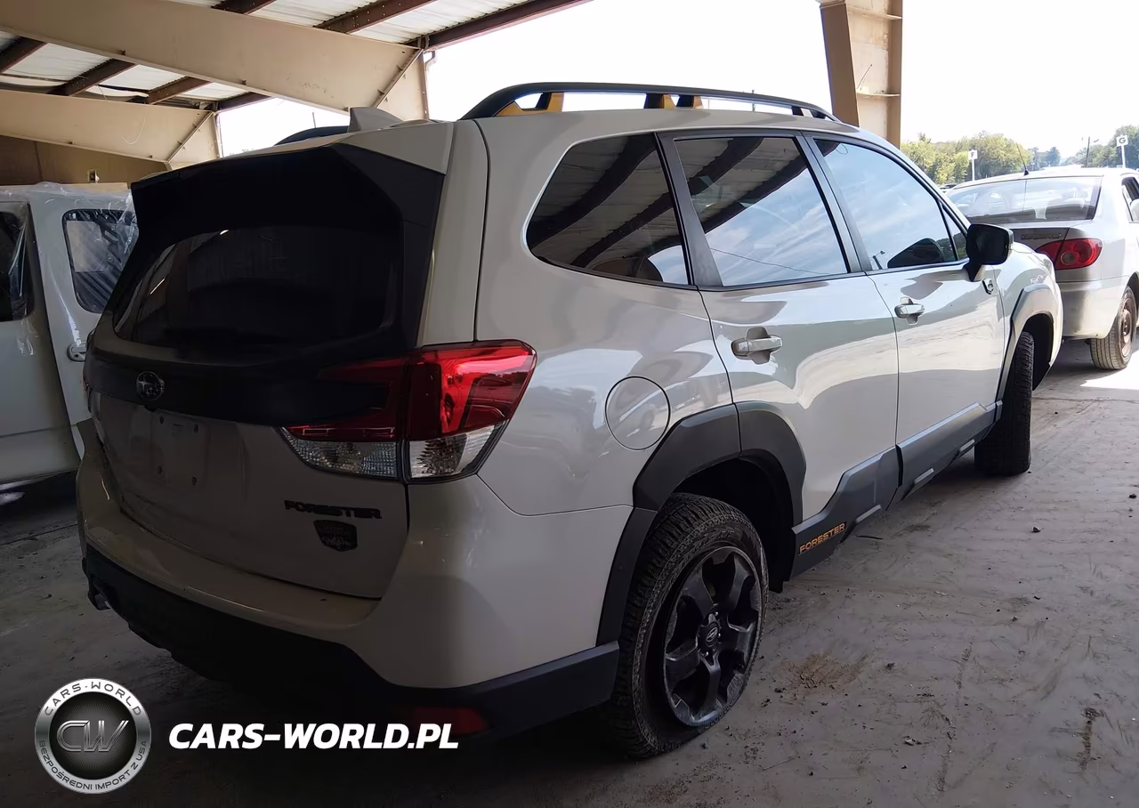 2022 Subaru Forester Wilderness VIN:JF2SKAMC1NH486020 - 4